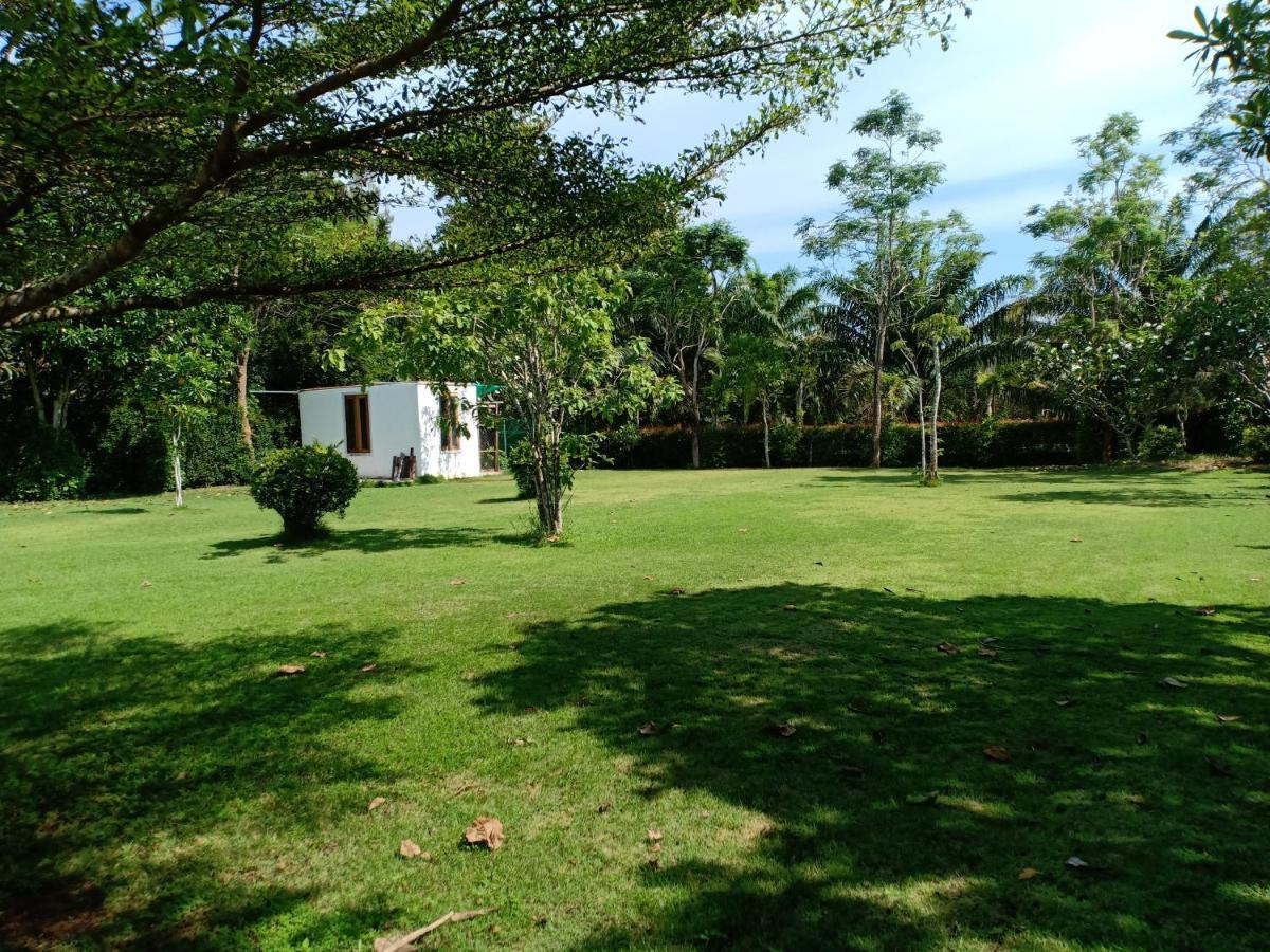 Mem Homestay Chumphon Exteriör bild